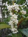 061110 ノリタケの森 030.jpg