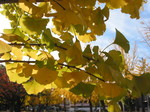 061124 千種公園 019.jpg